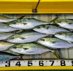 火遠理丸（ほおりまる） 釣果