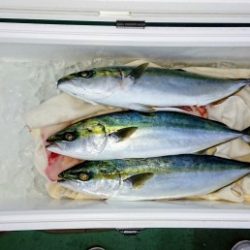 火遠理丸（ほおりまる） 釣果