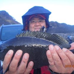 坂下丸 釣果