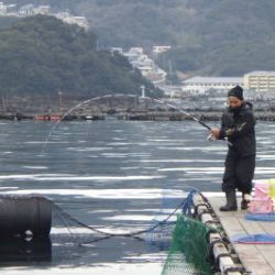 淡路じゃのひれフィッシングパーク 釣果