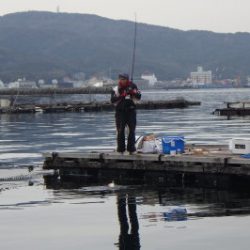 淡路じゃのひれフィッシングパーク 釣果