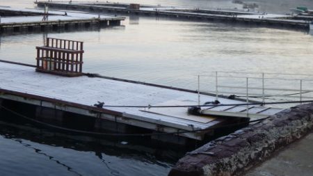 淡路じゃのひれフィッシングパーク 釣果