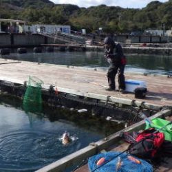 淡路じゃのひれフィッシングパーク 釣果