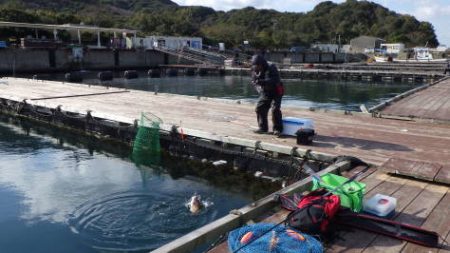 淡路じゃのひれフィッシングパーク 釣果