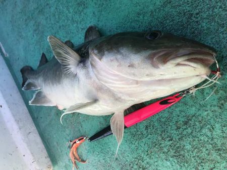 広進丸 釣果