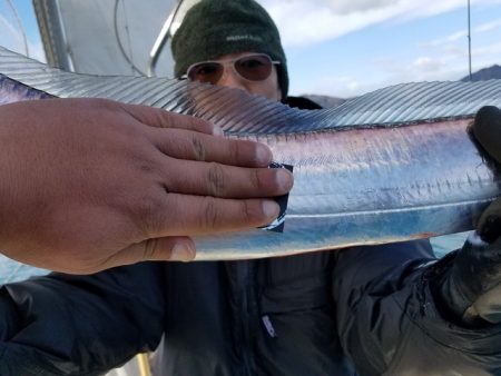 遊漁船　ニライカナイ 釣果