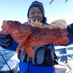 しまや丸 釣果