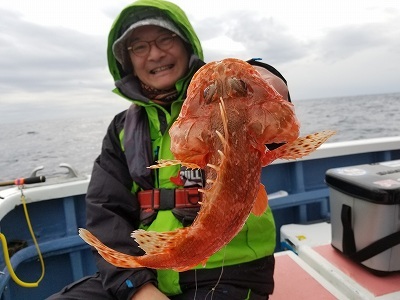 しまや丸 釣果