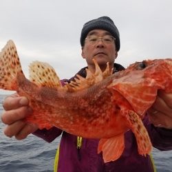 しまや丸 釣果