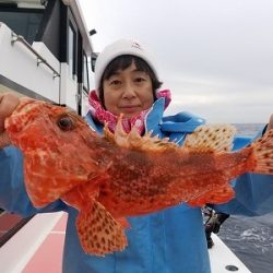 しまや丸 釣果