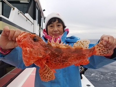 しまや丸 釣果