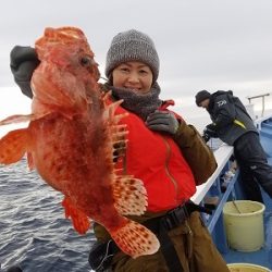 しまや丸 釣果