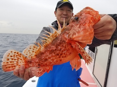 しまや丸 釣果