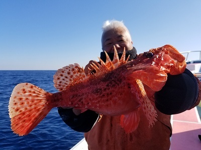 しまや丸 釣果