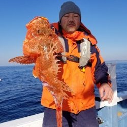 しまや丸 釣果