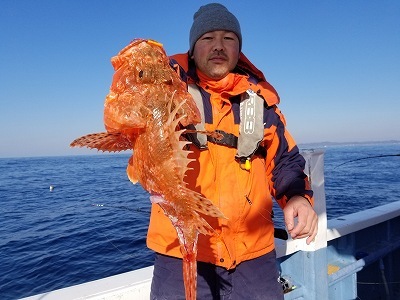 しまや丸 釣果