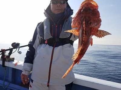 しまや丸 釣果