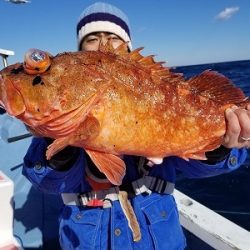 しまや丸 釣果