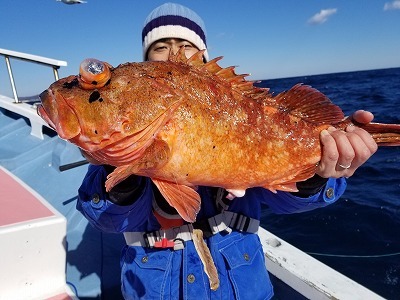 しまや丸 釣果