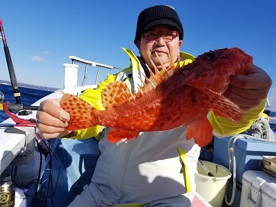 しまや丸 釣果