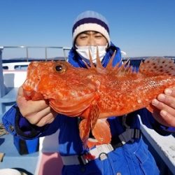 しまや丸 釣果