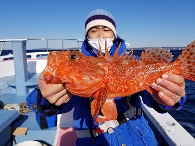 しまや丸 釣果