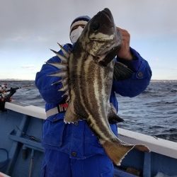 しまや丸 釣果