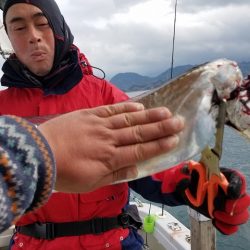 遊漁船　ニライカナイ 釣果