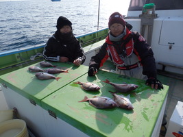 久里浜黒川本家 釣果