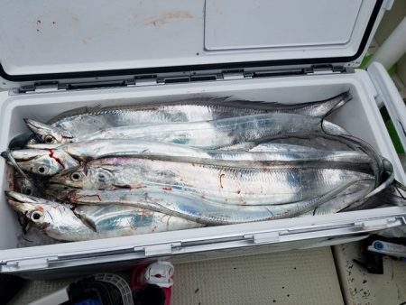 遊漁船　ニライカナイ 釣果