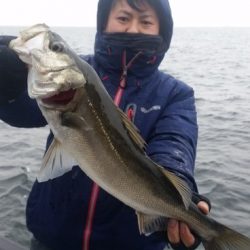 めだか屋 釣果