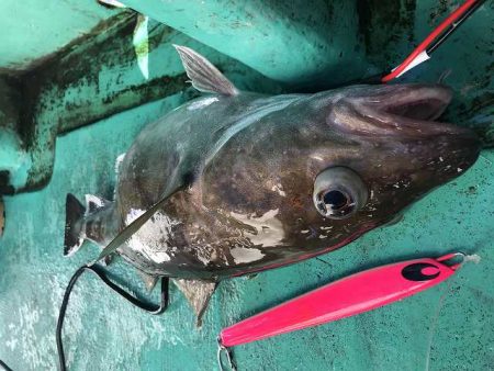 広進丸 釣果