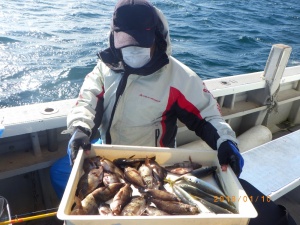 石川丸 釣果