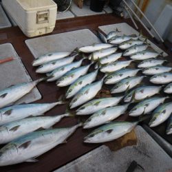 小海途 釣果