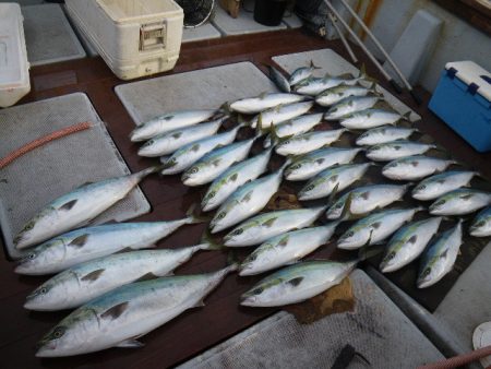 小海途 釣果