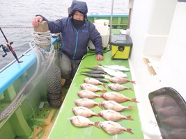 久里浜黒川本家 釣果