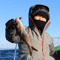 へいみつ丸 釣果