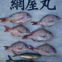 網屋丸 釣果