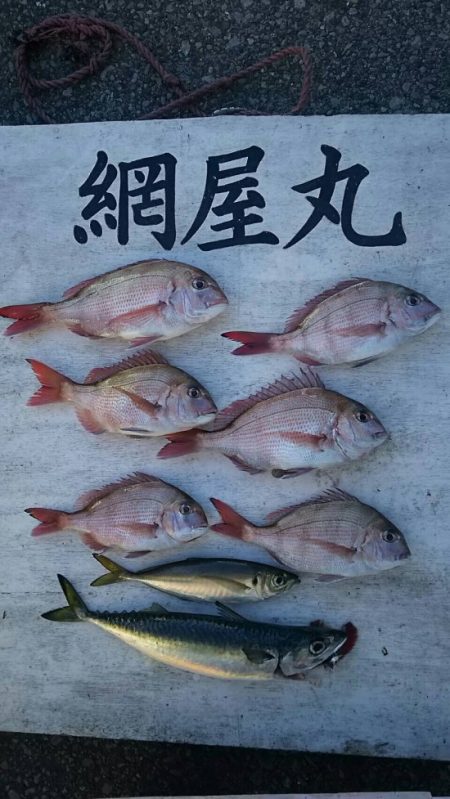 網屋丸 釣果