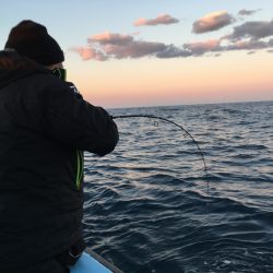 松鶴丸 釣果