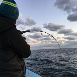 松鶴丸 釣果