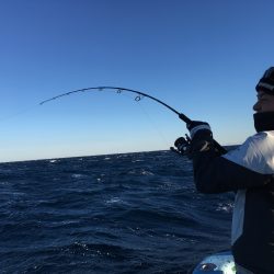 松鶴丸 釣果