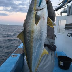 松鶴丸 釣果