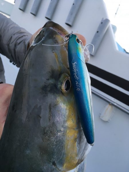 松鶴丸 釣果