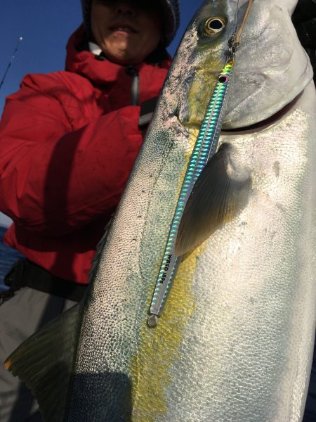 松鶴丸 釣果