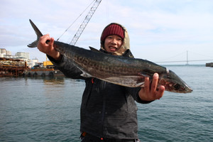 魚英 釣果