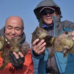 渡船屋たにぐち 釣果