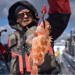 渡船屋たにぐち 釣果