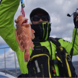 渡船屋たにぐち 釣果