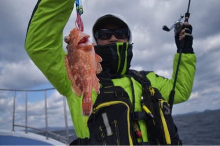 渡船屋たにぐち 釣果